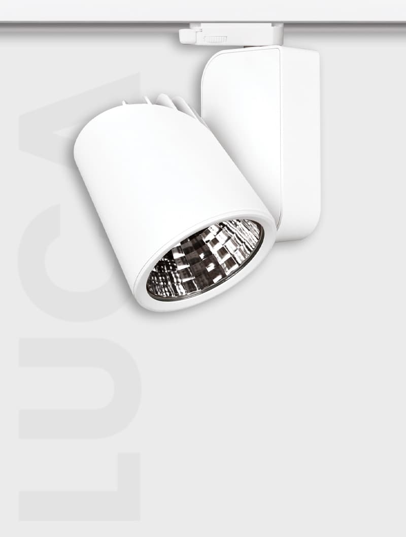 LUCA SERİSİ | MR 1001 RAY SPOT - 4