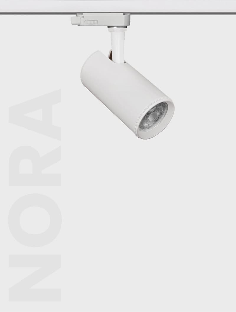 NORA SERİSİ | MR 423 RAY SPOT - 2