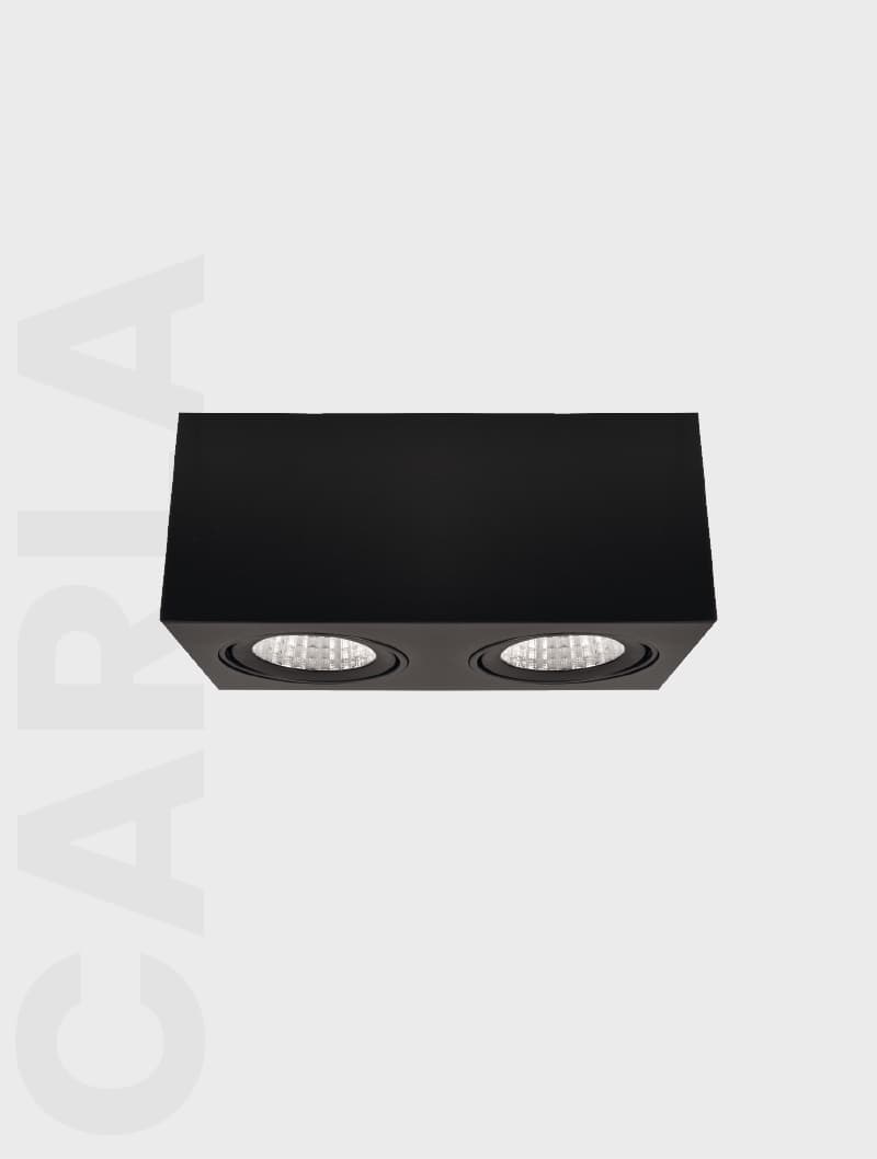 CARLA SERİSİ MS 612-2-118 SIVA ÜSTÜ SPOT