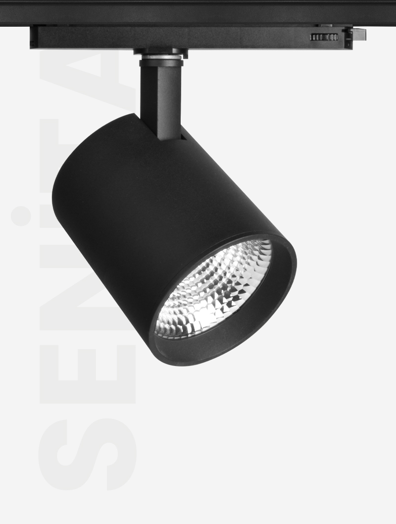 SENİTA SERİSİ MR 1030-100 RAY SPOT