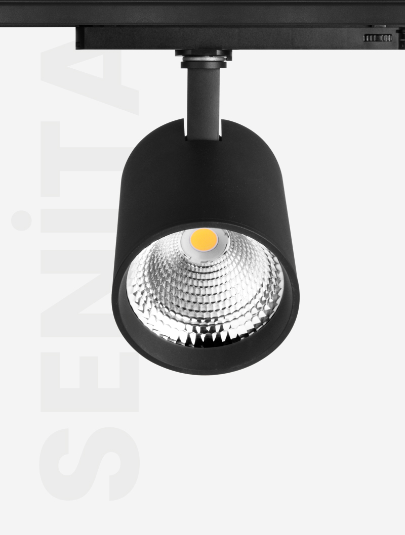 SENİTA SERİSİ | MR 1030-100 RAY SPOT - 3