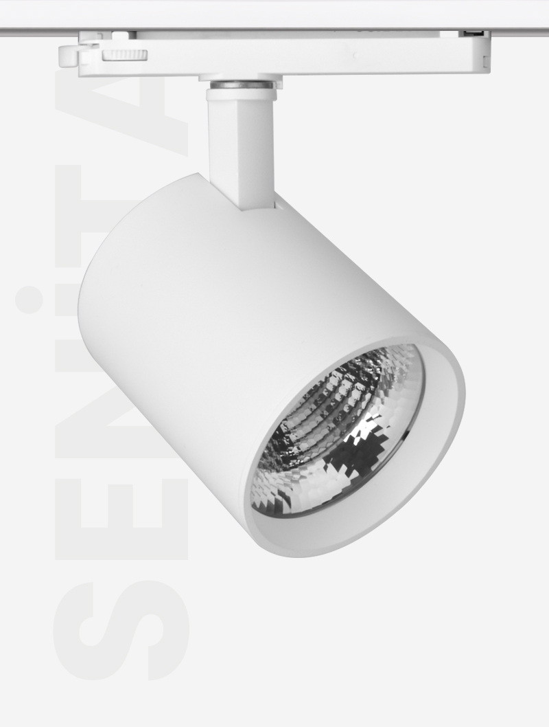 SENİTA SERİSİ | MR 1030-100 RAY SPOT - 5