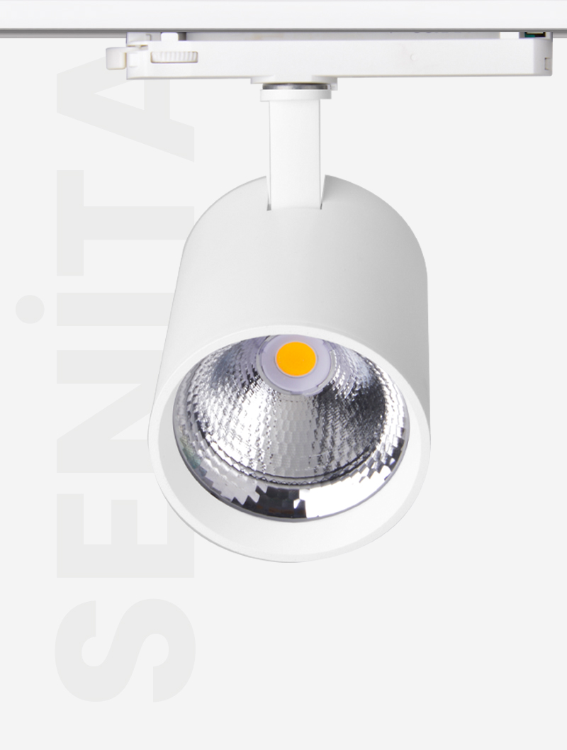SENİTA SERİSİ | MR 1030-100 RAY SPOT - 6