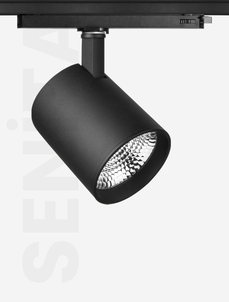 SENİTA SERİSİ | MR 1030-100 RAY SPOT - 10
