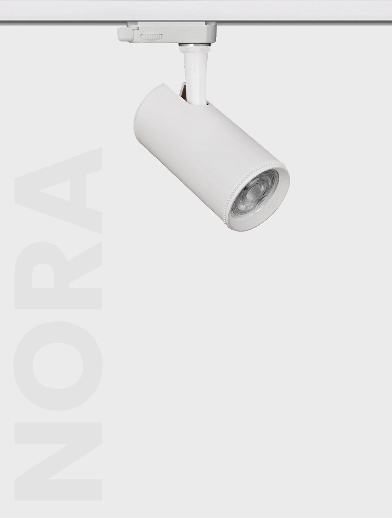 NORA SERİSİ | MR 423 RAY SPOT - 2