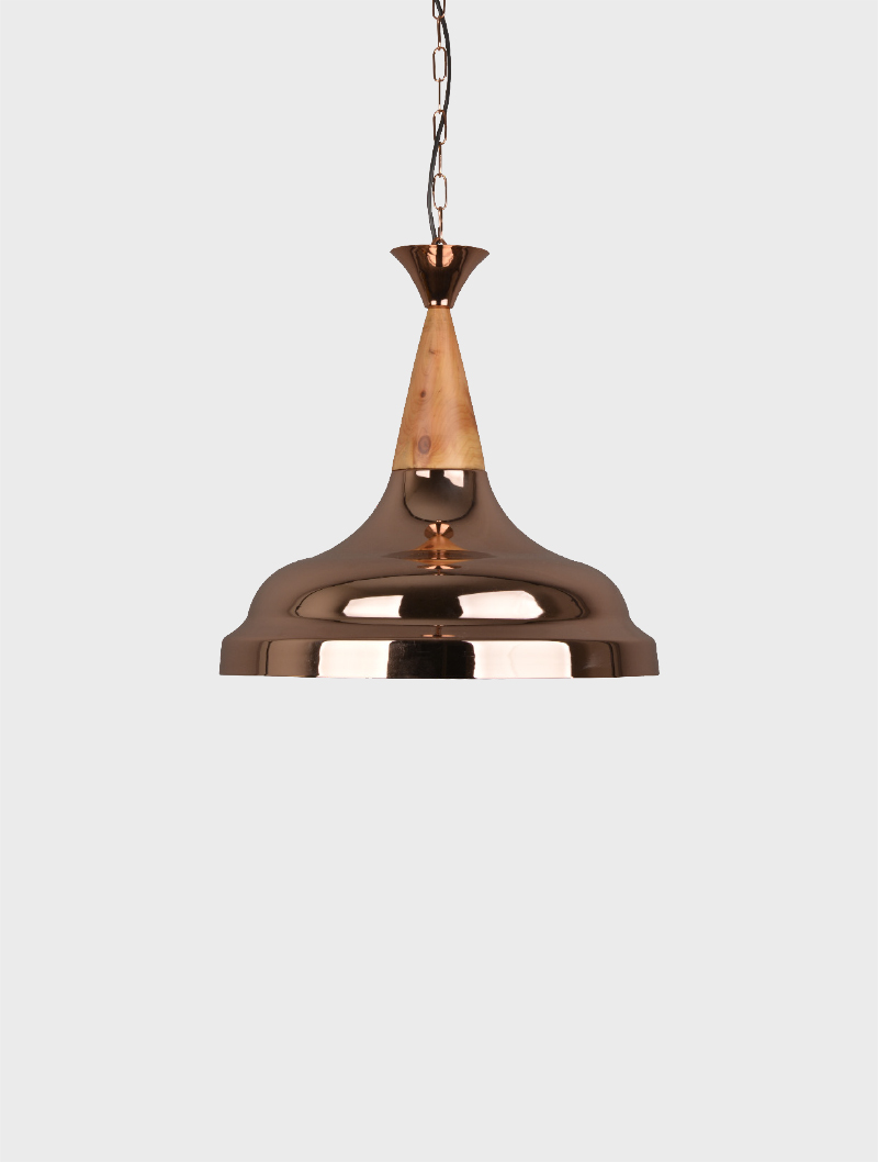 Özel Koleksiyon Sarkıt | MS 155