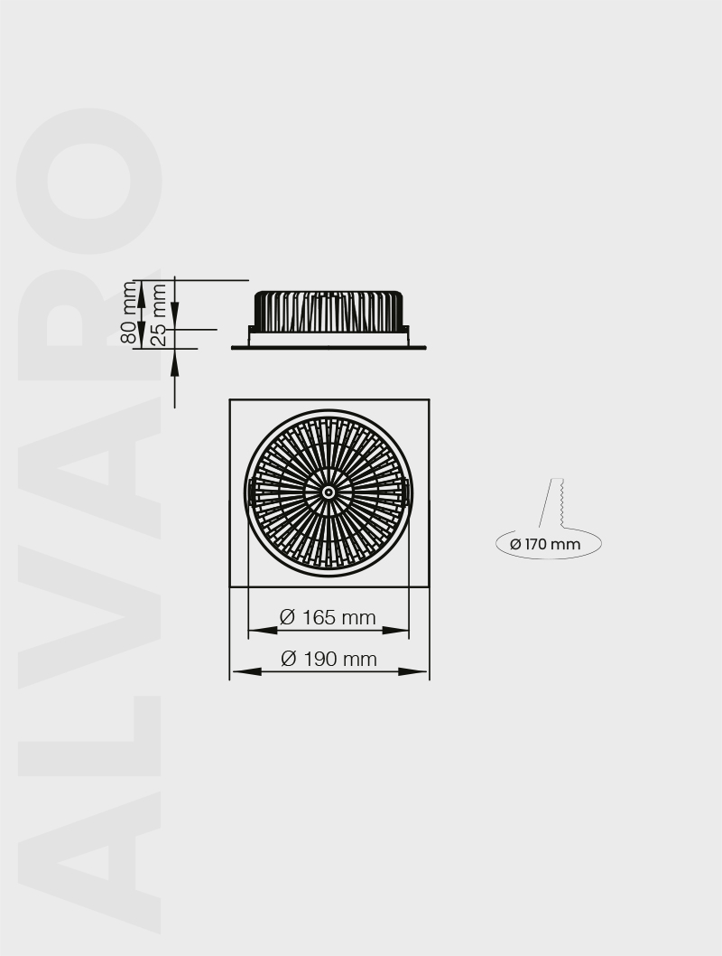 ALVARO Series | MD 801-190 SIVA ALTI - 3