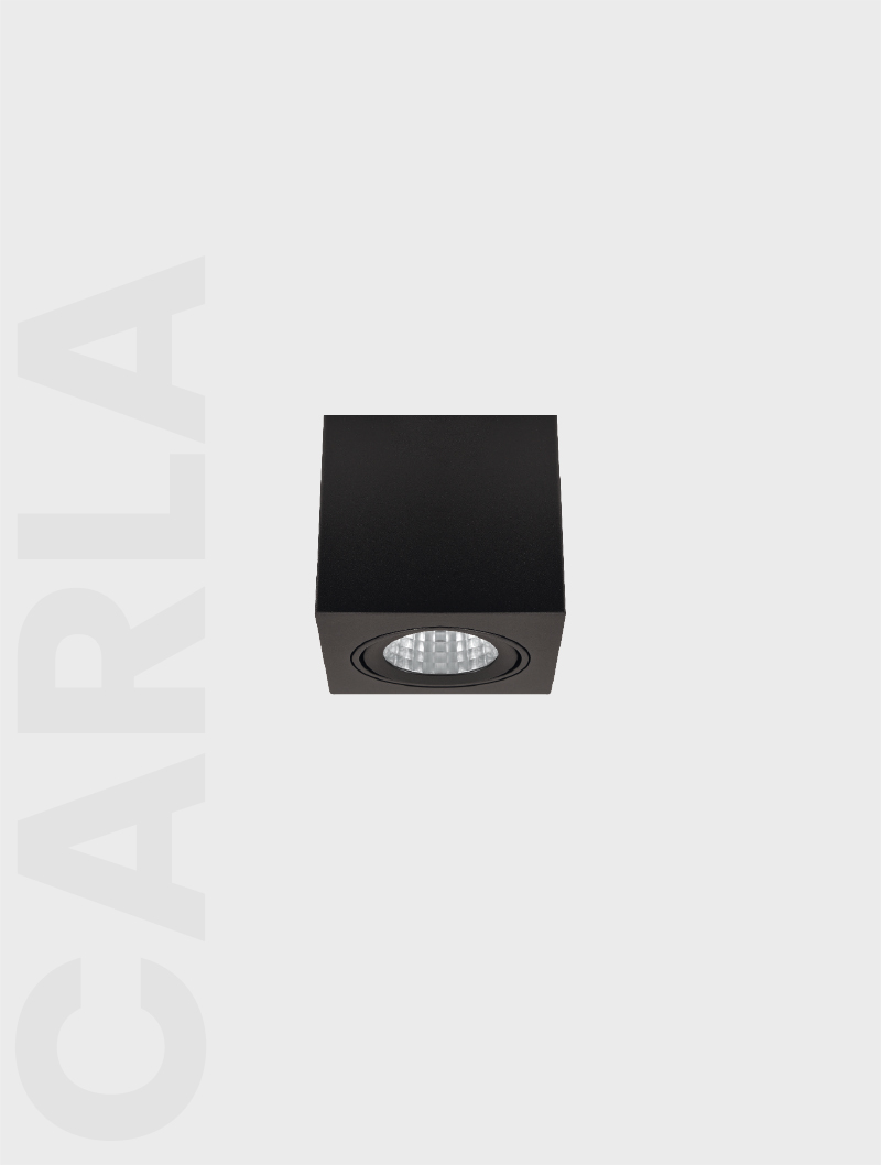 CARLA SERİSİ MS 612-1-118 SIVA ÜSTÜ SPOT