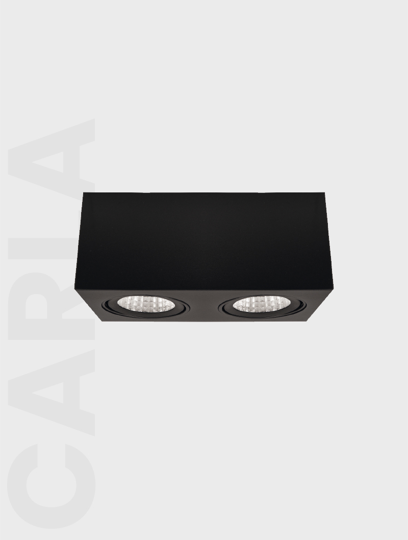 CARLA SERİSİ MS 612-2-118 SIVA ÜSTÜ SPOT